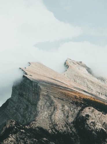 Layanan Jasa Care Giver Service 3